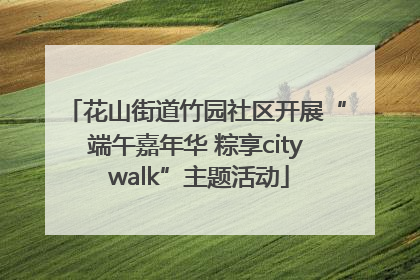 花山街道竹园社区开展“端午嘉年华 粽享city walk”主题活动